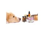 Holistic Pet Care Products