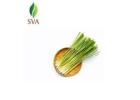 Reliable Lemongrass Essential Oil Exporter – SVA