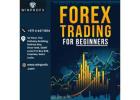 Getting Started with Forex Trading for Beginners