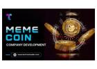 MEME Coin Development Company - Technoloader