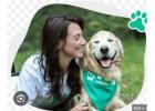 Dog Care Portland