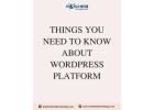 Things You Need to Know About WordPress Platform