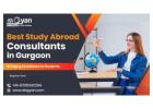 Unlock Your Global Education Dreams Study Abroad Consultants in Gurgaon