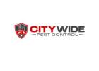 City Wide Cockroach Control Melbourne