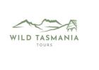 Tasmanian Wilderness Experiences Walking Tours : Nature Beauty