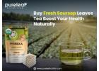 Buy Fresh Soursop Leaves Tea - Boost Your Health Naturally