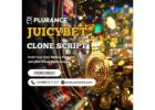 Launch Your Gambling Venture: The Ultimate JuicyBet Clone