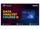 Data Analyst Course: Your Pathway to a Successful Career