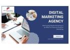 Best Digital Marketing Agency in Delhi | Wall Communication