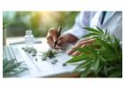 Cannabis Bookkeeping Reliable Financial Tracking