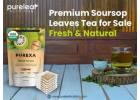 Premium Soursop Leaves Tea for Sale - Fresh & Natural