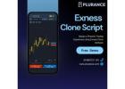 Tailored Trading Environments: The Exness Clone You Need