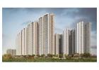 Prestige Raintree Park Amenities