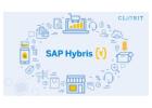 Unlocking the Power of Business Process in Hybris for E-commerce Success