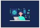 Hire Best WordPress Development Company in India for Custom & Scalable Websites