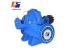 SOM Series Double Suction Pump