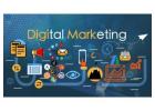 Select Best Digital Marketing Agency in Delhi for Strategic Online Growth