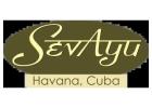 Revitalize Your Body & Mind with Ayurvedic Rejuvenation丨Sevayucuba