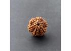 6 Mukhi Rudraksha Price – Certified & Authentic Beads Online