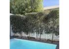 Get the Perfect Faux Olive Tree for Your Decor