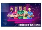 Join Diamond Exchange ID for Daily Sports Entertainment
