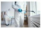 Termite Inspection Gold Coast – Reliable Property Assessment Services