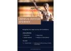 The Role of a Criminal Defense Attorney Van Nuys in Felony Cases !