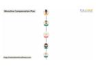 Speed Up Development Using Monoline Compensation Plan Solutions