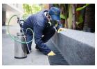 24 Hour Pest Control Singapore Service You Can Trust