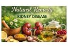 Comprehensive Ayurvedic Treatments for Mind and Body