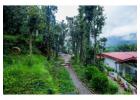 Your Peaceful Mountain Escape Starts at Ganghar – A Hidden Jungle Stay in Mukteshwar Uttarakhand