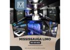 Mississauga Party Bus