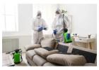 Professional Cockroach Pest Control Services in Jaipur Experts