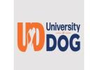 University of Dog
