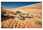 BLM Lands Near Phoenix AZ – Discover Free Camping & Adventure
