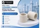 Premium Ceramic Rings Manufacturer for Industrial Packing in India