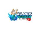 Koi Pond Maintenance Union County