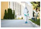 Pest Control Gold Coast – Reliable Solutions for Homes & Businesses