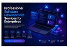 Professional Software Development Services for Enterprises