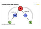 Spillover Binary MLM Software for Better Network Growth