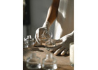 Scalable Biotechnology Manufacturing and Development Support