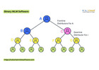 Binary MLM Software For Trustworthy MLM Success Services