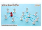 Grow Faster with Spillover Binary MLM Plan and Expert Services