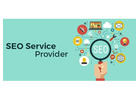 Top SEO Service Providers to Grow Your Business Online