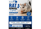 Rat Removal in NJ – ALCO Animal & Pest Control