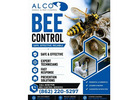 Bee Control in NJ – ALCO Animal & Pest Control