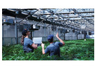 ERP Software for Growers of Any Size