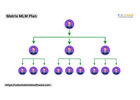 Matrix MLM Plan for Enhanced Performance in Your Network Business