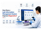 How Does a Lab Information Management System Improve Diagnostics?