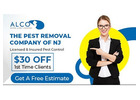 Bee Removal in NJ – ALCO Animal & Pest Control